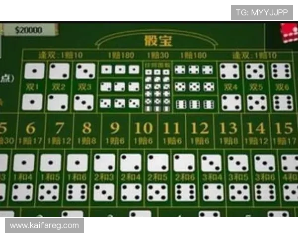 血战骰宝规则详解让你轻松应对各种投注场景实现持续盈利